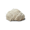 Hongo Melena de León Commons 40g