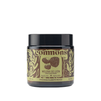 Hongo Melena de León Commons 50g